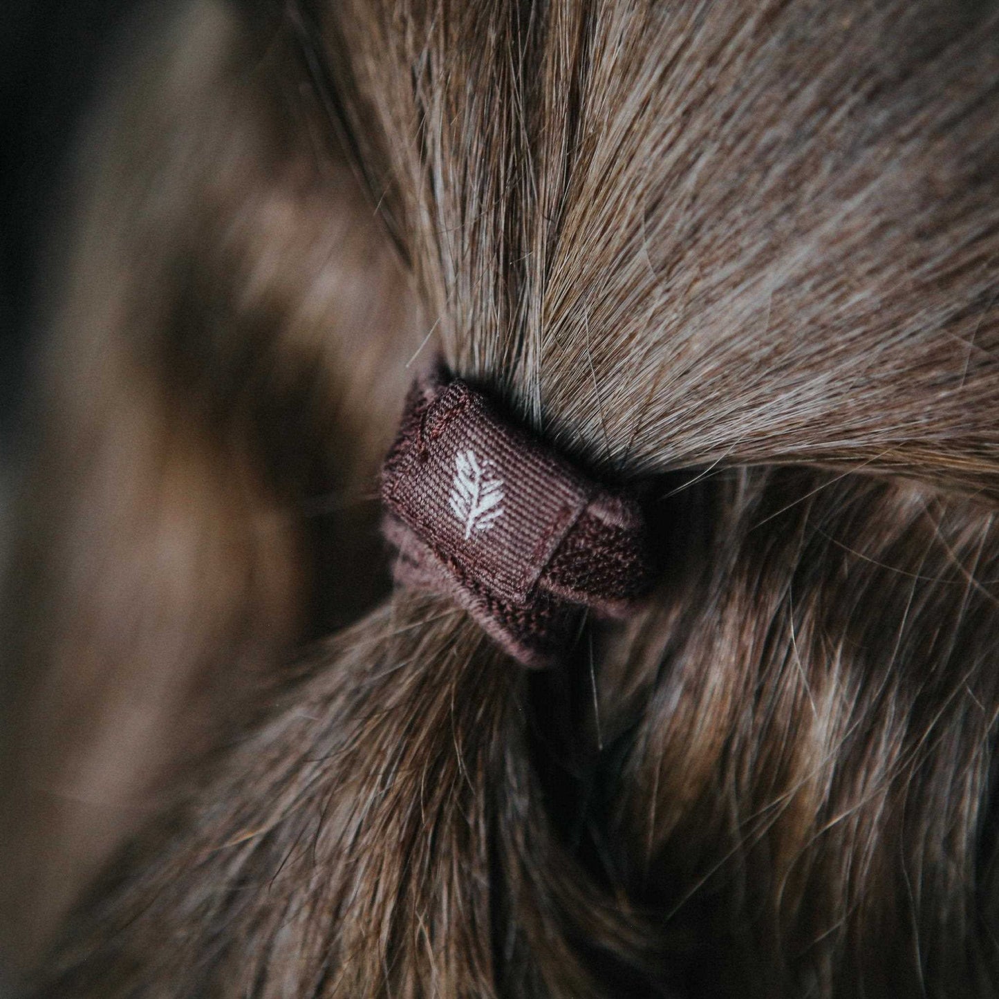Wild & Stone Straws Plastic Free Hair Ties - Pack of 6 - Wild & Stone