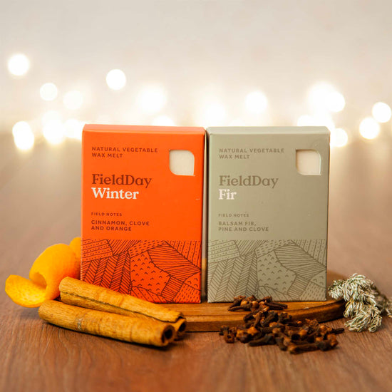 Load image into Gallery viewer, FieldDay Wax Tarts Winter Wax Melts - Natural Vegetable Wax Melts - FieldDay
