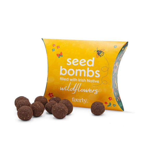 Faerly Wildflowers Irish WildFlower Seed Bombs 5 Pack
